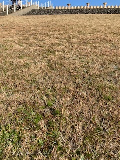 春の風に乗って・・・_f0079749_09073137.jpg