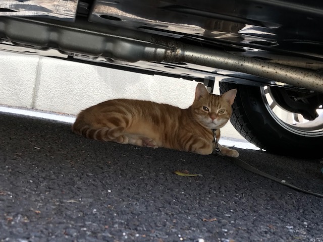 春を感じて_b0203758_13503553.jpg