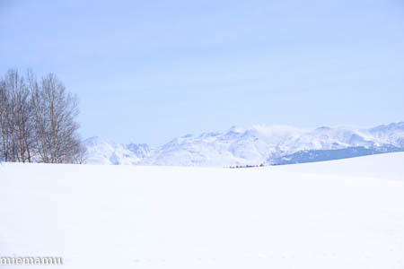 まだまだ、冬の装いの十勝岳連峰~3月の美瑛_d0340565_19482445.jpg