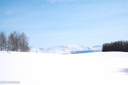 まだまだ、冬の装いの十勝岳連峰~3月の美瑛_d0340565_19483203.jpg