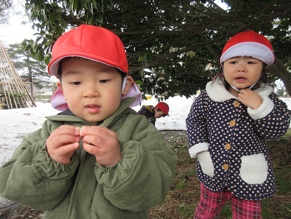 たんぽぽ組高田公園に行きました_c0212598_17570963.jpg