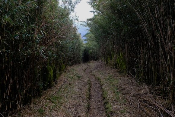 一人登山　明神ヶ岳_e0000910_11464480.jpg