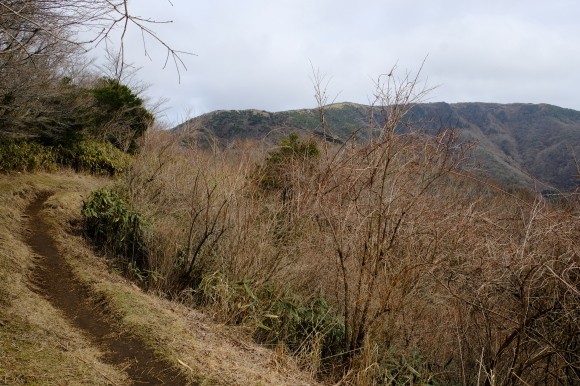 一人登山　明神ヶ岳_e0000910_12023473.jpg