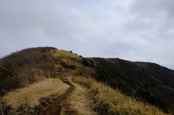一人登山　明神ヶ岳_e0000910_12034975.jpg