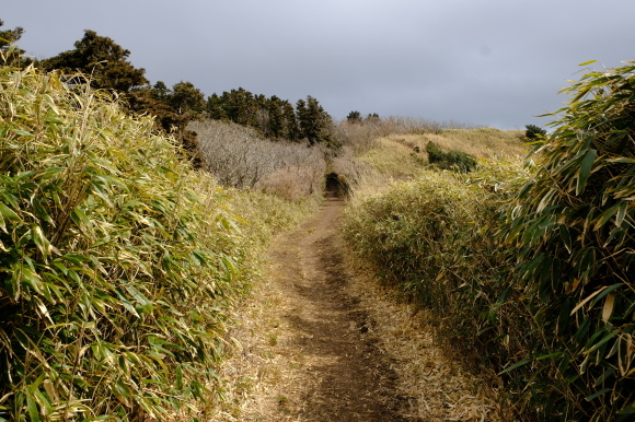 一人登山　明神ヶ岳_e0000910_12080722.jpg