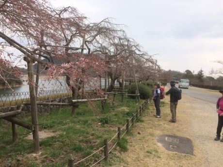 観音山&ごろごろ岳_c0218841_21114640.jpg