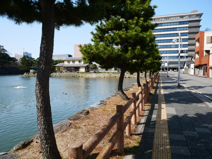 　　和歌山便り　　２０２１-０３-１７　００：００　_b0093754_20460765.jpg