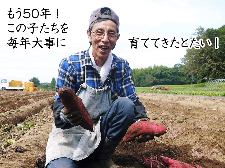 熊本県産の熟成サツマイモ「紅はるか」大好評販売中！令和3年度のサツマイモは苗床で芽吹きました！_a0254656_17034813.jpg