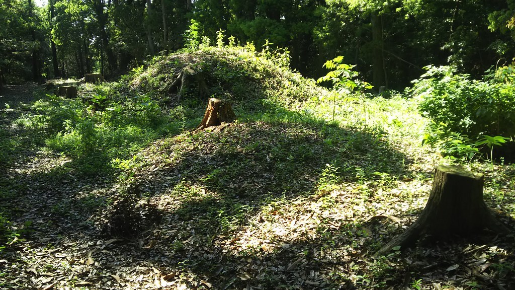 【圓朝怪談】鏡ヶ池操松影の浅草寺寝釈迦てんまつ_b0116271_09104970.jpg