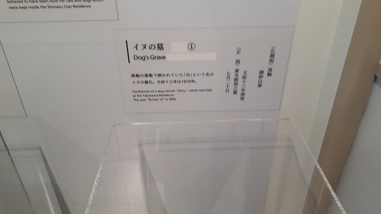 2017-20【東京ぶらぶら】城西の江戸考古遺物資料館めぐり:動物を中心に【港区・品川区・東京都埋蔵文化財センター】_b0116271_11073363.jpg