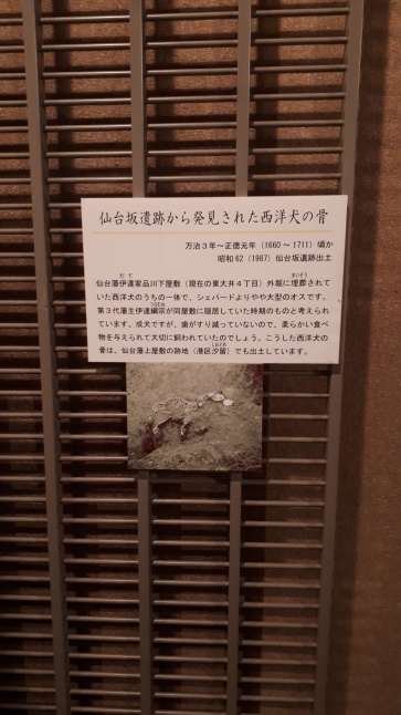 2017-20【東京ぶらぶら】城西の江戸考古遺物資料館めぐり:動物を中心に【港区・品川区・東京都埋蔵文化財センター】_b0116271_11183620.jpg