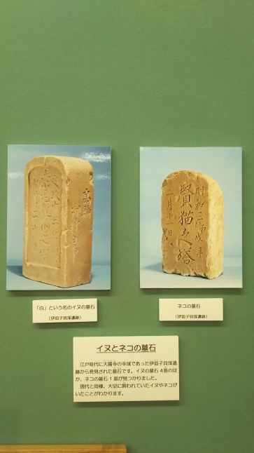 2017-20【東京ぶらぶら】城西の江戸考古遺物資料館めぐり:動物を中心に【港区・品川区・東京都埋蔵文化財センター】_b0116271_11323538.jpg