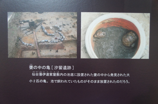 2017-20【東京ぶらぶら】城西の江戸考古遺物資料館めぐり:動物を中心に【港区・品川区・東京都埋蔵文化財センター】_b0116271_11392485.jpg