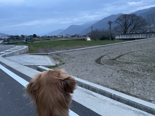 それでも、明日へ。_a0394574_22171294.jpeg