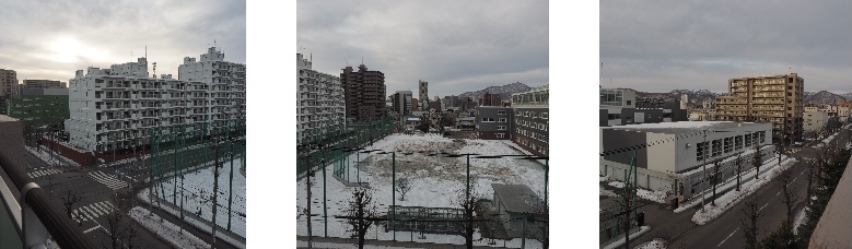 03/16 　    COVID-19     神奈川県で変異ウイルスで死者　　　東京で感染者増加・病床改善　　　解除は18日に決定_c0183777_12262220.jpg