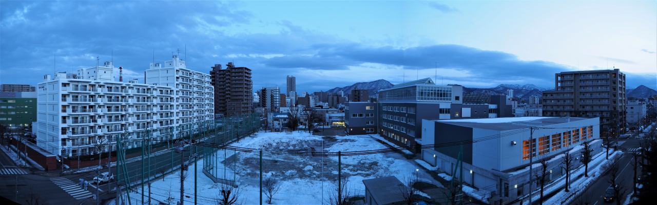 03/16 　    COVID-19     神奈川県で変異ウイルスで死者　　　東京で感染者増加・病床改善　　　解除は18日に決定_c0183777_18042546.jpg