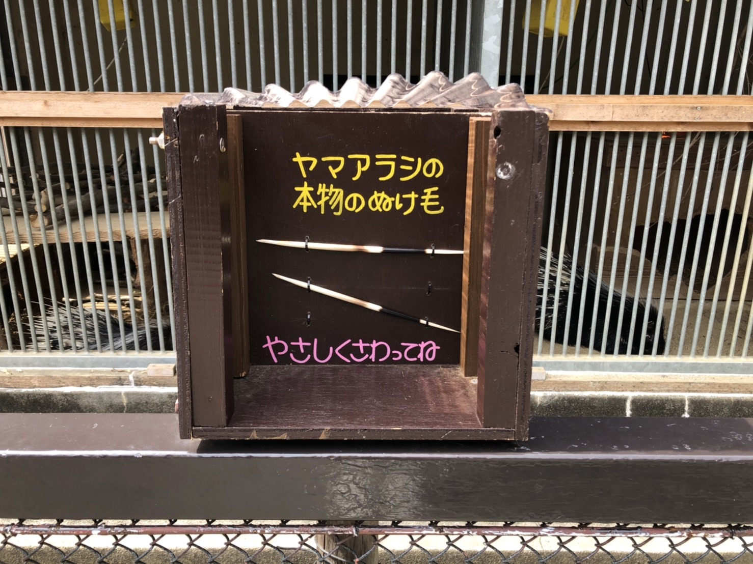 これなーんだ?_c0290504_14200038.jpg
