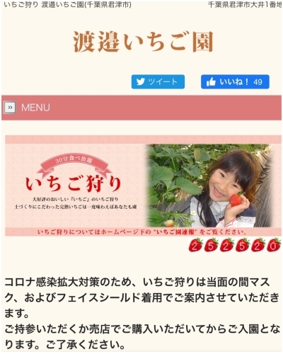 渡邉いちご園のいちご狩り アキタンの年金 株主生活 毎月旅日記 渡邉いちご園のいちご狩り アキタンの年金 株主生活 毎月旅日記