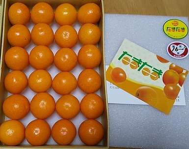 桜と柑橘と・・・・・_c0280322_16424894.jpg