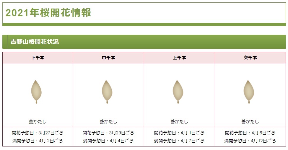 今年は桜の開花が早そうです!_e0154524_13381457.jpg