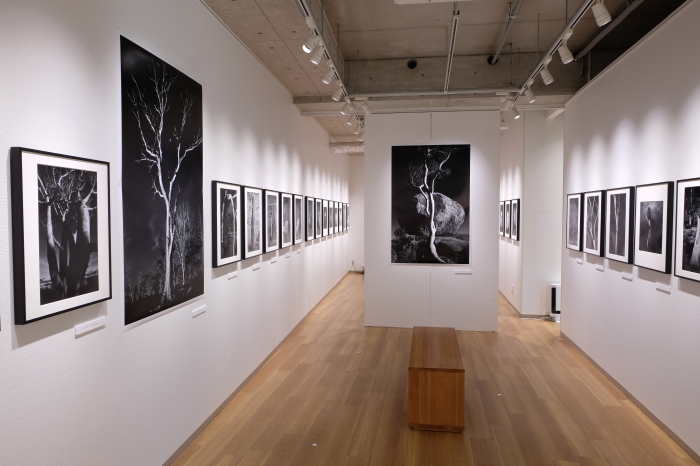 See you Again Pictorico Gallery_f0050534_22131828.jpg