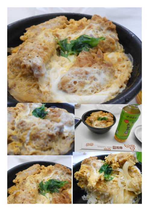 大宮での仕事、最近はカツ丼弁当にこっているようである。今日は｢ひれかつ丼｣。なかなかおなかは満たされる。_f0388041_08412674.png