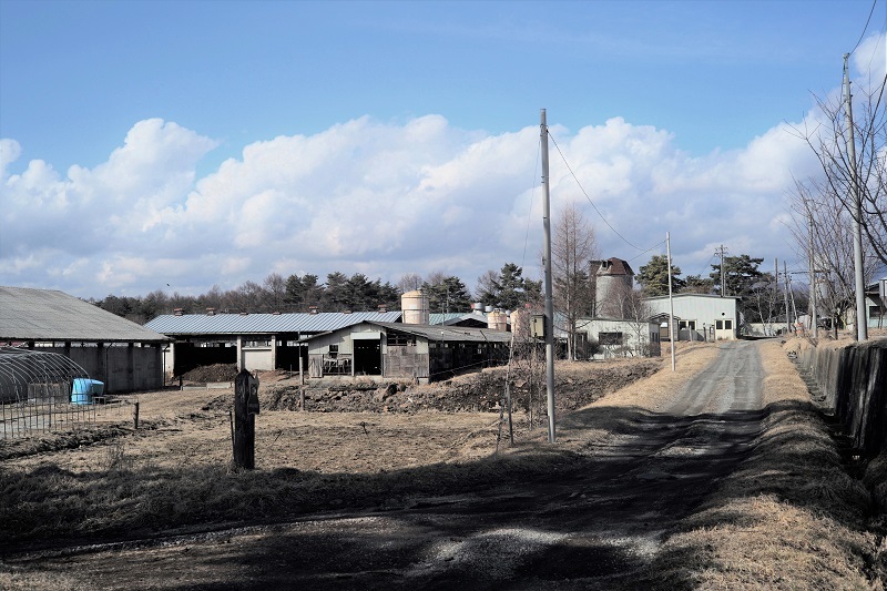 早春の八ヶ岳自然文化園 3 味わう瞬間 とき 早春の八ヶ岳自然文化園 3 味わう瞬間 とき