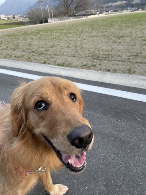 明日に備える。_a0394574_23143580.jpeg