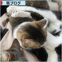 留守中の猫は?_a0389088_21010432.jpg