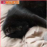 留守中の猫は?_a0389088_21010455.jpg