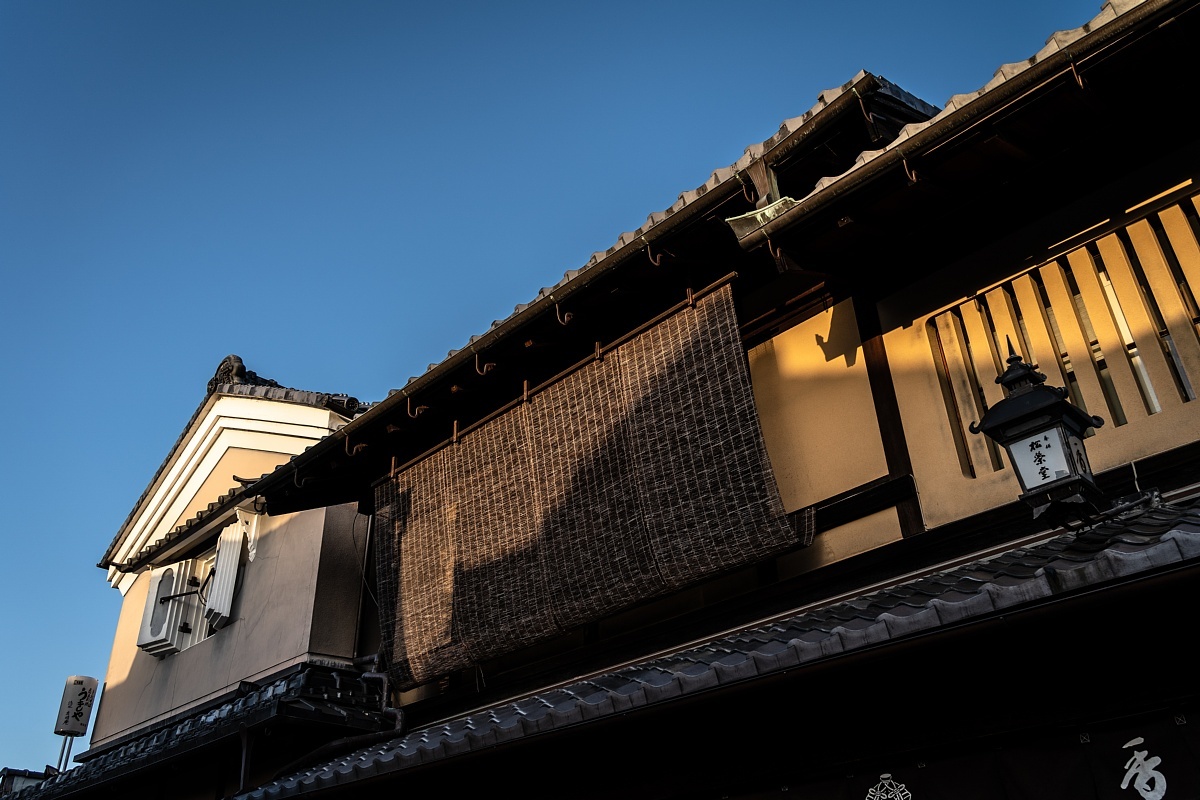 あやかしの光蜥蜴が跳梁跋扈する京都東山_d0353489_16010726.jpg