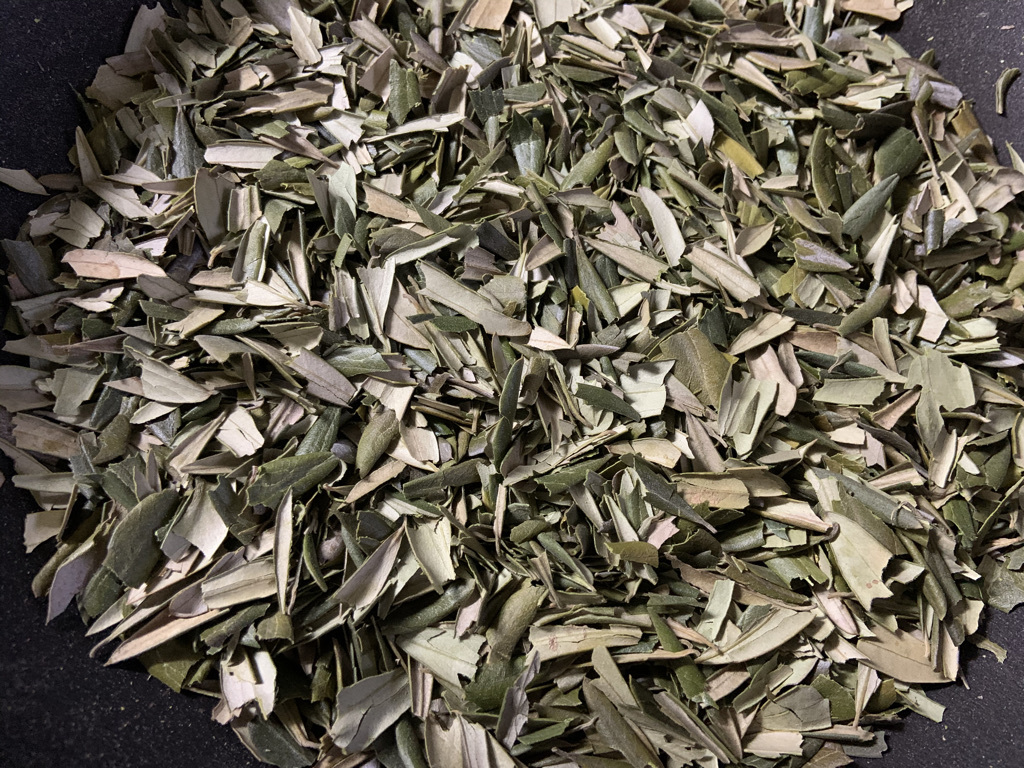 オリーブ茶作りと庭仕事で…_b0349795_17462295.jpeg