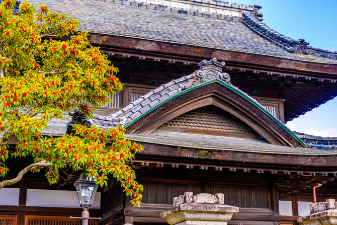 「岡山・津山 旧銀行建築のPORT ART&DESIGN TSUYAMA( ポートアート&デザイン津山)」_a0000029_09160661.jpg