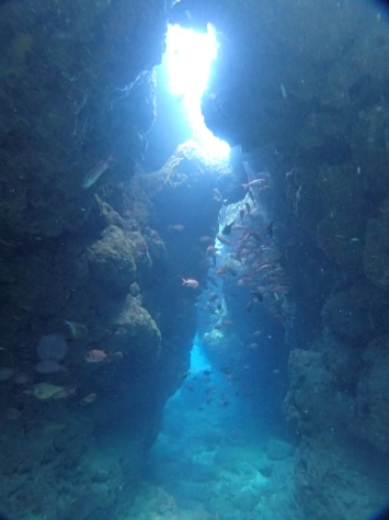 水納島VS真栄田岬(3月18日)_c0070933_22443006.jpg
