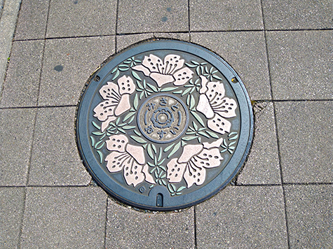 花粉症とオリンピック_a0399652_07103401.jpeg