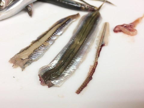 イカナゴ 玉筋魚 イル レオーネ 千林大宮駅近くのシェフソムリエのブログ