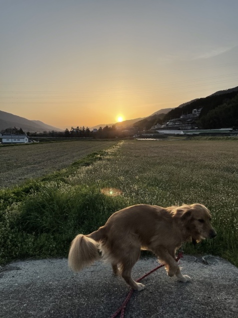 特別な夜。_a0394574_22051700.jpeg