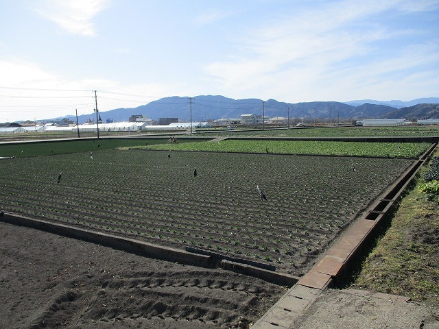 街、農業、新しい幹線道路　　さまざまな富士市の表情を再確認した「春の小潤井川ソロウォーク」_f0141310_08085104.jpg