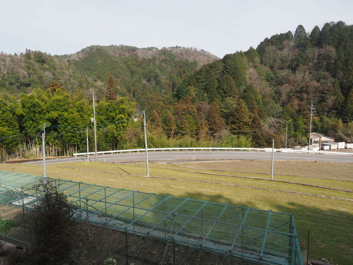 薄雲の晴れ ゆきだより 日々つれづれ