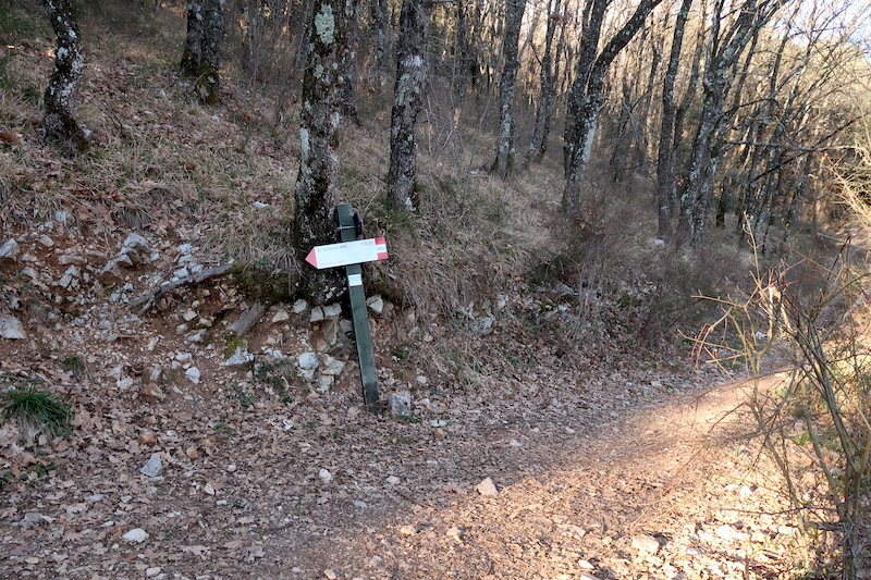 アッシジも古城も望み花咲くテッツィオ山_f0234936_23284023.jpg