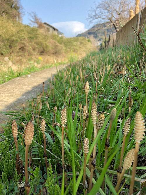 展覧会情報_b0142265_01555734.jpeg
