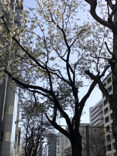 板金補修_a0129492_20383019.jpeg
