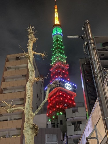 GUCCI HANAMI 東京タワー ライトアップ_b0179298_19561544.jpg