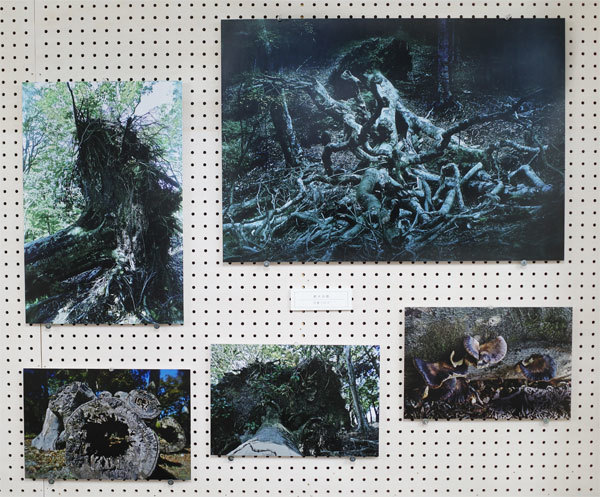 第91回 浪 展 again B_d0342009_11384171.jpg