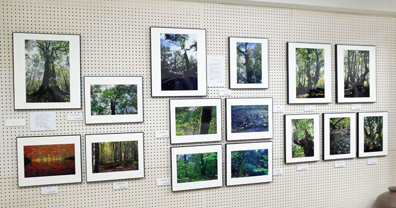 第91回 浪 展 again A_d0342009_12120755.jpg