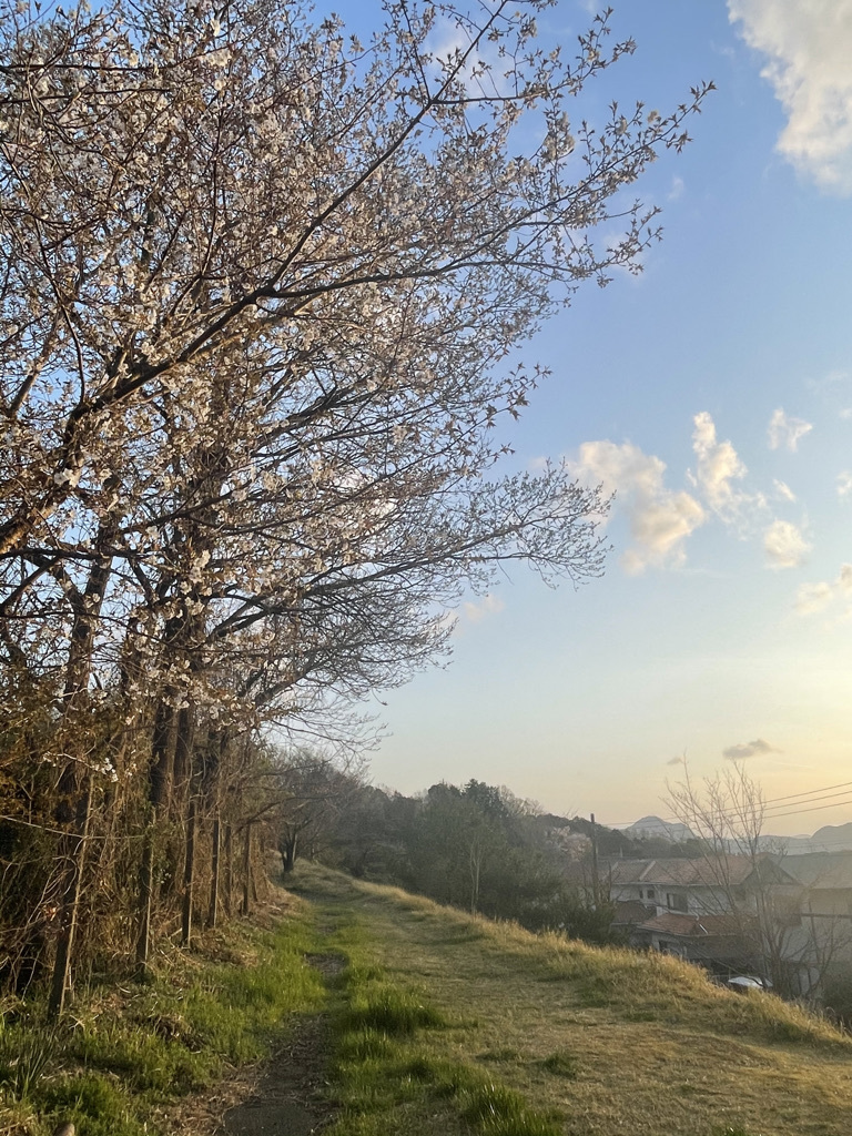 家中を磨いて過ごした「春分の日」_f0354014_20083883.jpeg