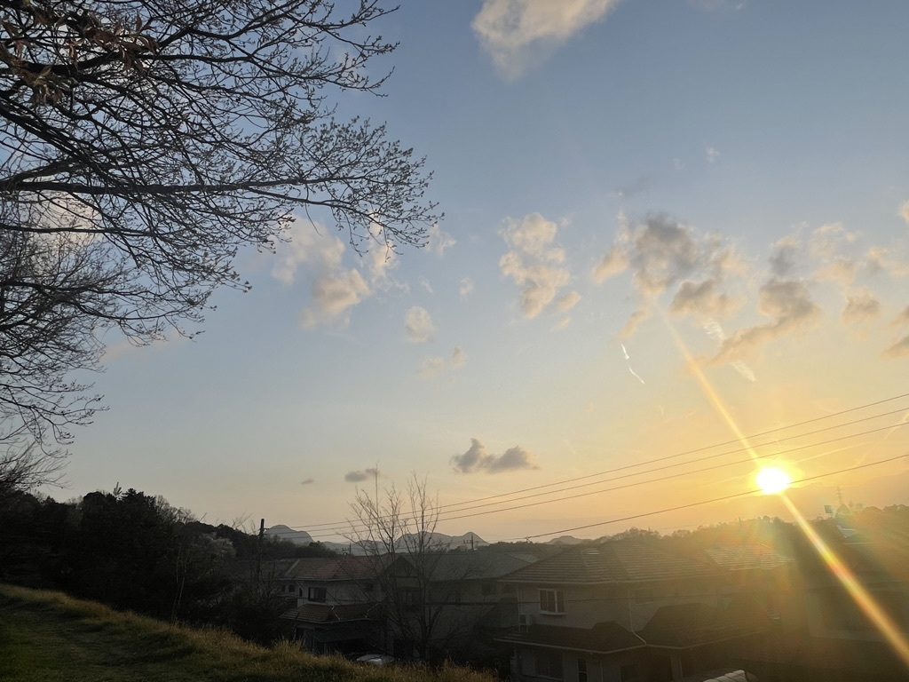 家中を磨いて過ごした「春分の日」_f0354014_20090859.jpeg