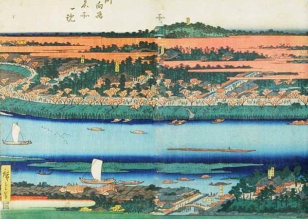 隅田川墨堤の桜風景 : 大江戸歴史散歩を楽しむ会 隅田川墨堤の桜風景 : 大江戸歴史散歩を楽しむ会