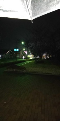 地震のあと_d0177045_20473645.jpg