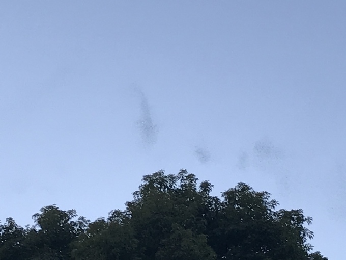 ラピスラズリの欠片を繋いで_d0101846_06105916.jpeg